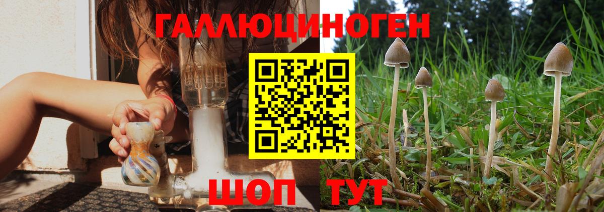 Гусиноозёрск  Псилоцибиновые грибы Cubensis  Галлюциногенные грибы ЛСД  Вход с VPN 